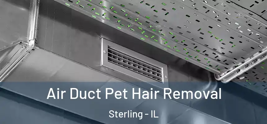  Air Duct Pet Hair Removal Sterling - IL