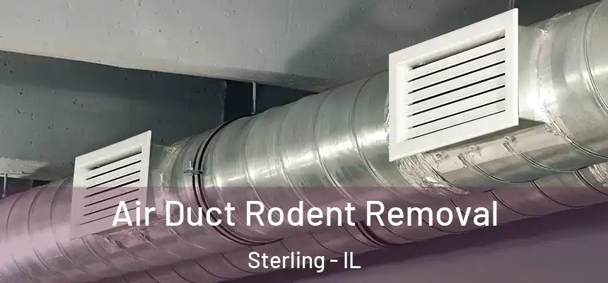  Air Duct Rodent Removal Sterling - IL