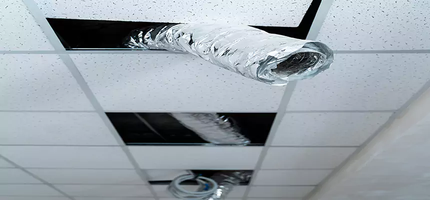 Our Air Duct Pet Hair Removal Services in Sterling, IL