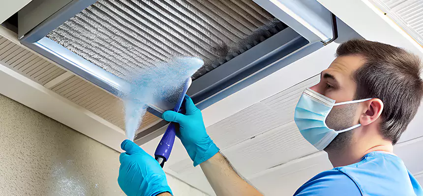 Proactive Dryer Vent & Auxiliary Duct Pollen Cleanup in Sterling, IL