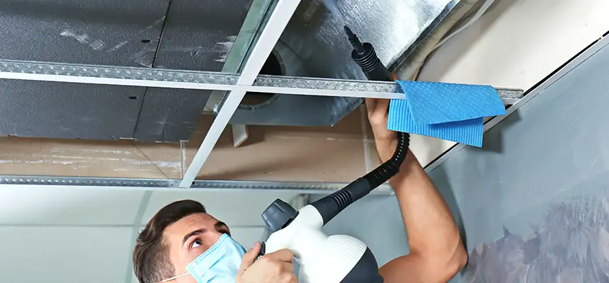Our Air Duct Rodent Removal Services in Sterling, IL
