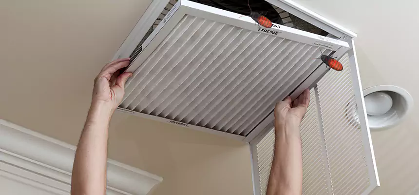 Our Insect Removal from Air Ducts Services in Sterling, IL