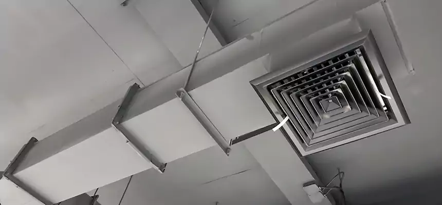 Our Rodent Droppings In Vents Services in Sterling, IL