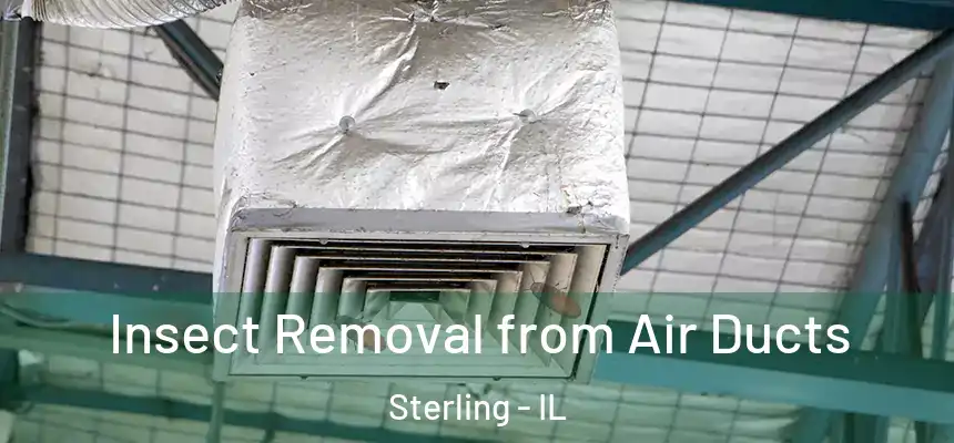  Insect Removal from Air Ducts Sterling - IL