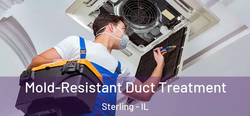  Mold-Resistant Duct Treatment Sterling - IL