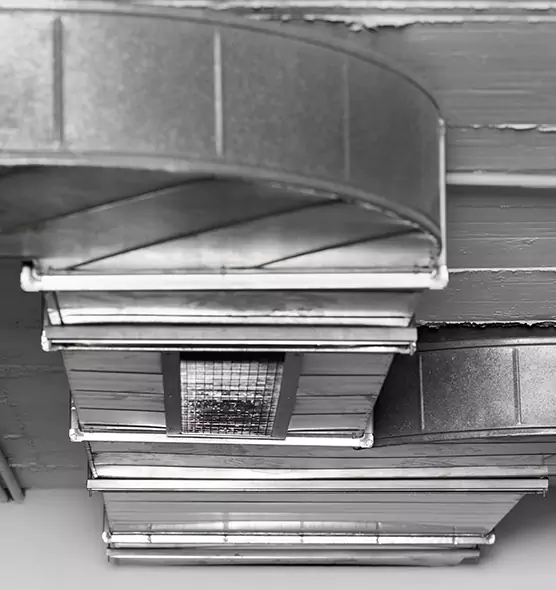 Professional Air Duct Pest Removal in Sterling, IL