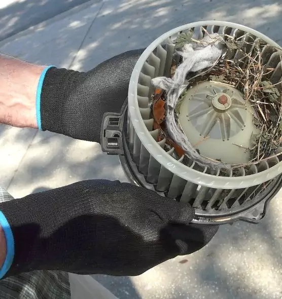 About Air Duct Rat Removal in Sterling, IL