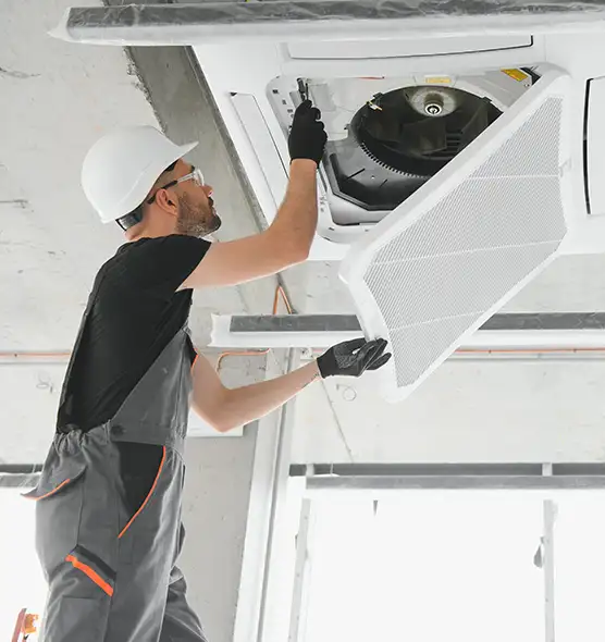 About Air Duct Rodent Removal in Sterling, IL