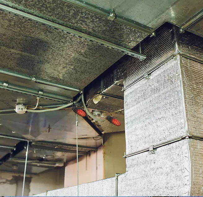 Why Homeowners & Businesses Trust Us in Sterling, IL?