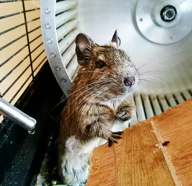 Why Homeowners & Businesses Trust Us Sterling, IL?